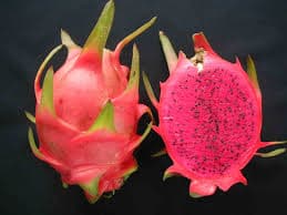 Dragon fruit _Vietnam pitaya_